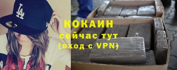 spice Аркадак