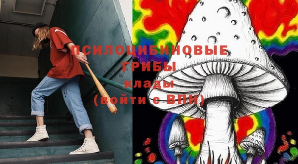 гидропоника Арсеньев