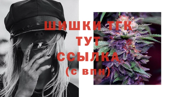 spice Аркадак