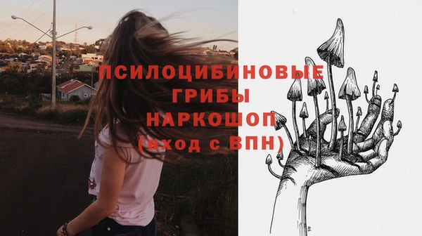 МДПВ Алзамай