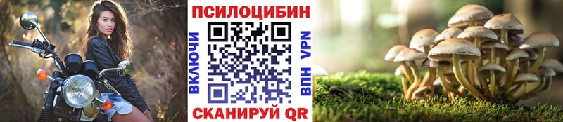 Псилоцибиновые грибы Psilocybine cubensis  Саянск 